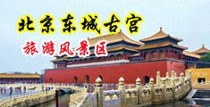 黑人大吊插插插中国北京-东城古宫旅游风景区